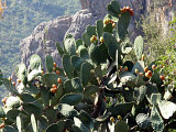  Olympos (Lykien) 