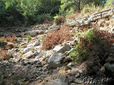  Olympos (Lykien) 