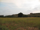  Aspendos 