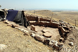  GöbekliTepe 