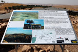  GöbekliTepe 