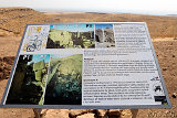  Göbekli Tepe 