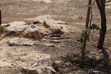  Göbekli Tepe 