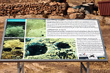  Göbekli Tepe 