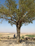  Richtung Göbekli Tepe 
