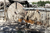  Hasankeyf 