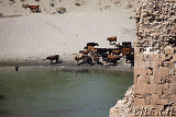  Hasankeyf 