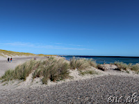 Sandy Way to Grenen - Skagens Gren