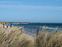 Sandy Way to Grenen - Skagens Gren