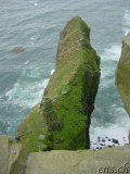  Cliffs of Moher 