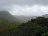  Connemara 
