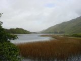  Connemara 