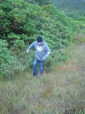  Headhole.ch - Oli4 - Connemara 