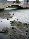  Dublin 
