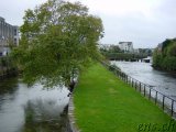  Galway 