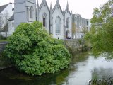  Galway 