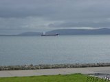  Salthill 
