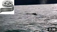  ens.ch : Whale-Watching in Husavik, Iceland 