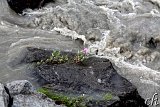  Richtung Selfoss 