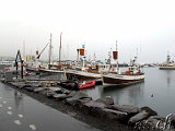  Whale-Watching Husavik 