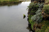  Höfði - Klasar (Kálfaströnd) 