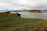  Skútustaðagigar - die Pseudokrater beim Mývatn 