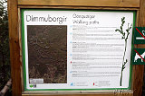  Dimmuborgir 