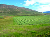  Richtung Akureyri 