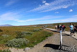  Gullfoss 
