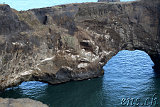  Dyrhólaey 