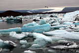  Jökulsárlón 