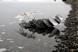  Jökulsárlón 