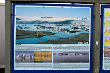  Jökulsárlón 