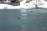  Jökulsárlón 