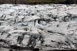  Svínafellsjökull 
