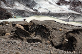  Svínafellsjökull 