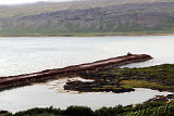  Richtung Flugminjasafn - Egill Ólafsson (auf dem Weg zum Látrabjarg) 