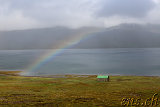  Richtung Flugminjasafn - Egill Ólafsson (auf dem Weg zum Látrabjarg) 