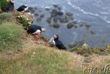  Látrabjarg 
