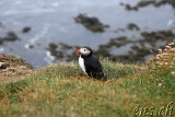  Látrabjarg 