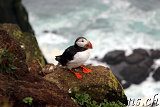  Látrabjarg 