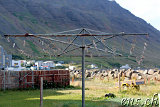  Isafjördur 