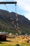  Isafjördur 