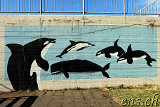  Whale-Watching Husavik 