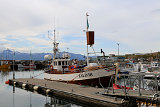  Whale-Watching Husavik 
