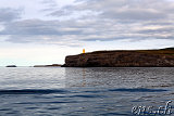  Whale-Watching Husavik 