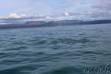  Whale-Watching Husavik 