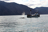  Whale-Watching Husavik 