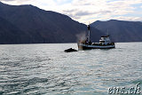  Whale-Watching Husavik 