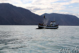  Whale-Watching Husavik 